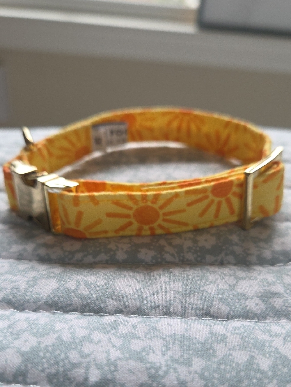 Foggy Dog Sunshine Collar